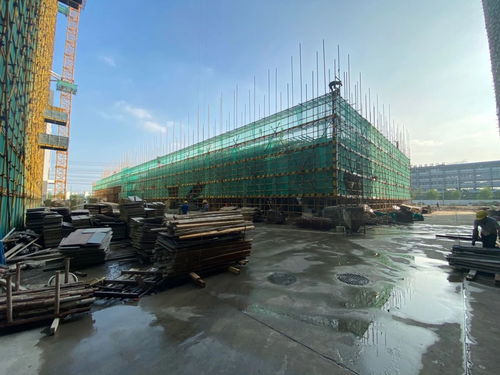 世友工業(yè)城 輕工智能裝備園工程進(jìn)度現(xiàn)場直擊