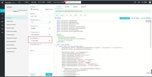解析阿里云短信服務 isv.invalid json param 錯誤及信息系統集成應對策略